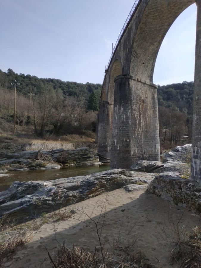 Maison Au Coeur Des Cevennes Meridionales Сент-Андре-де-Майен Экстерьер фото