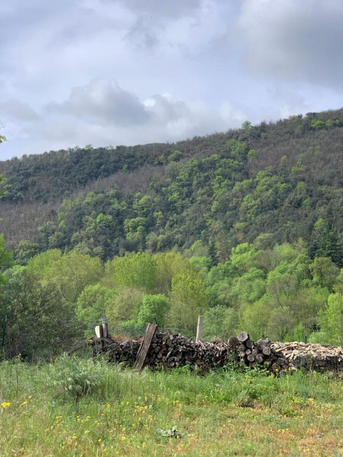 Maison Au Coeur Des Cevennes Meridionales Сент-Андре-де-Майен Экстерьер фото